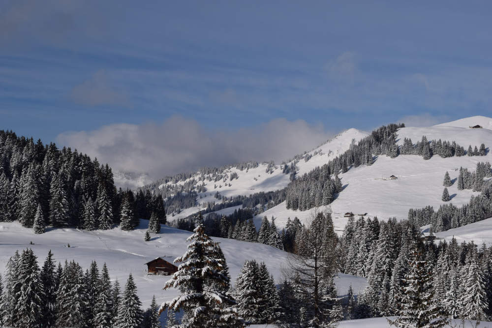 hiver2