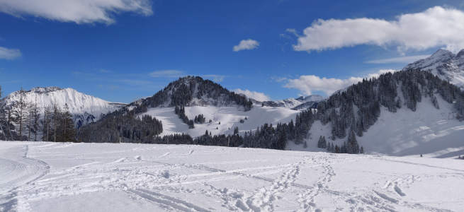 photo paysage1