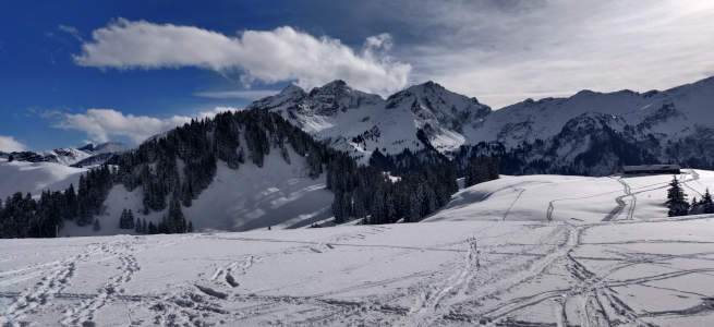 photo paysage2