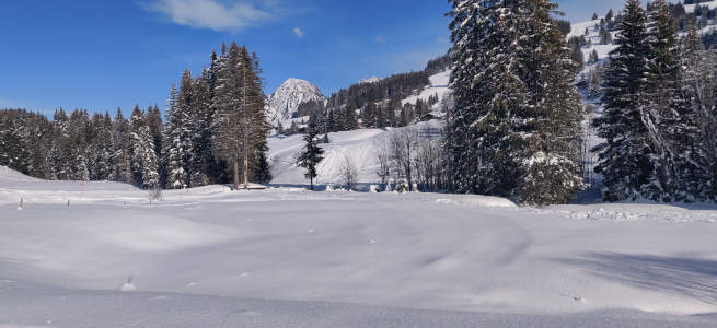 photo paysage5